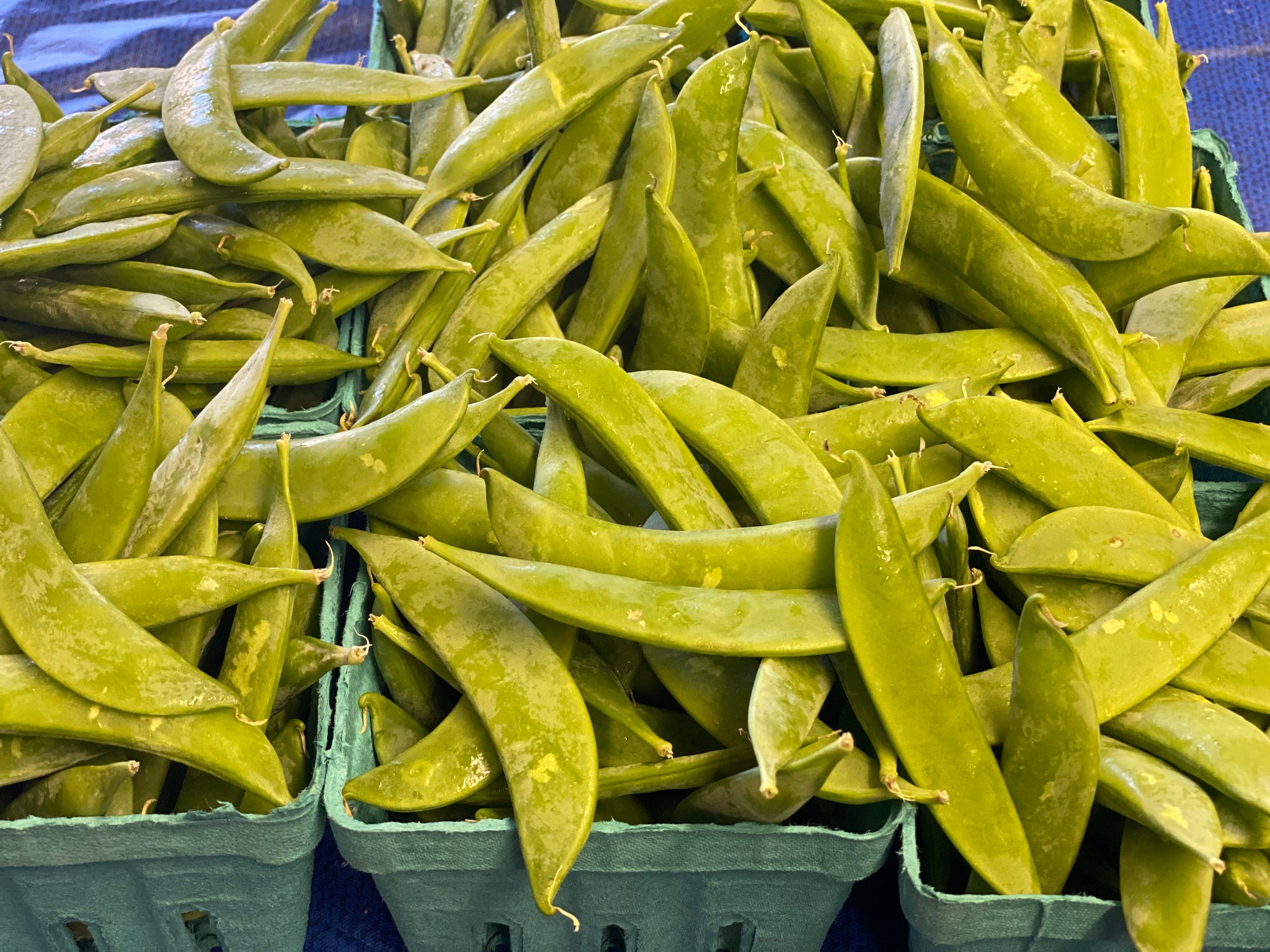Snap Peas - 1 pint