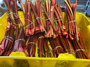 Rhubarb - 1 pound