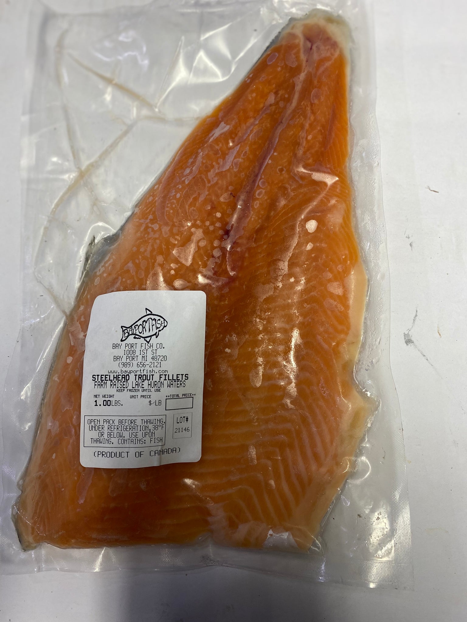 Fresh Water Steelhead Trout