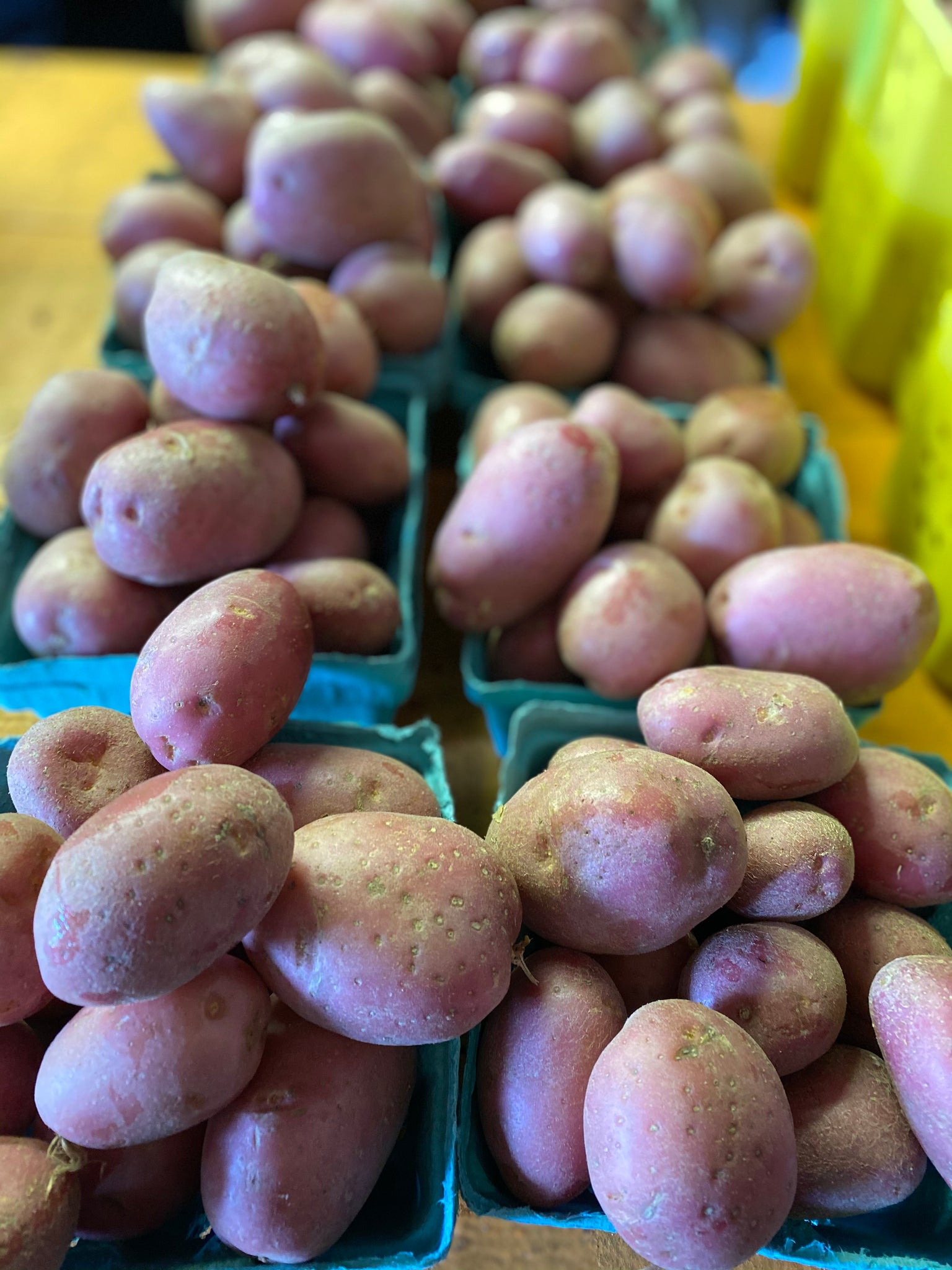 Red Potatoes