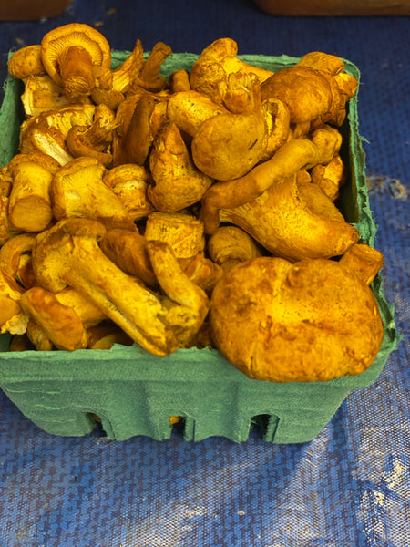 Chanterelle Mushrooms 1 pint