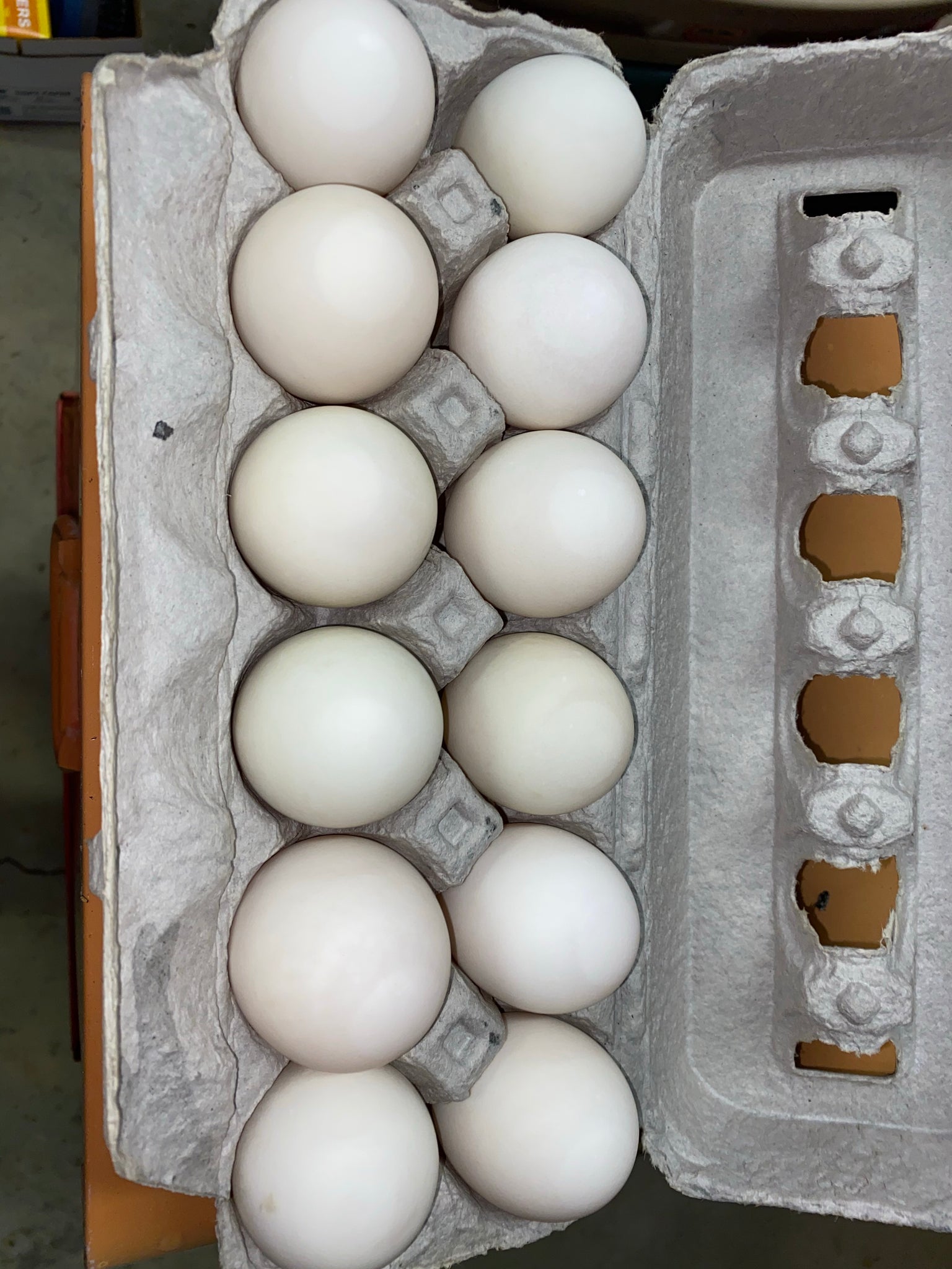 Duck Eggs 1 doz