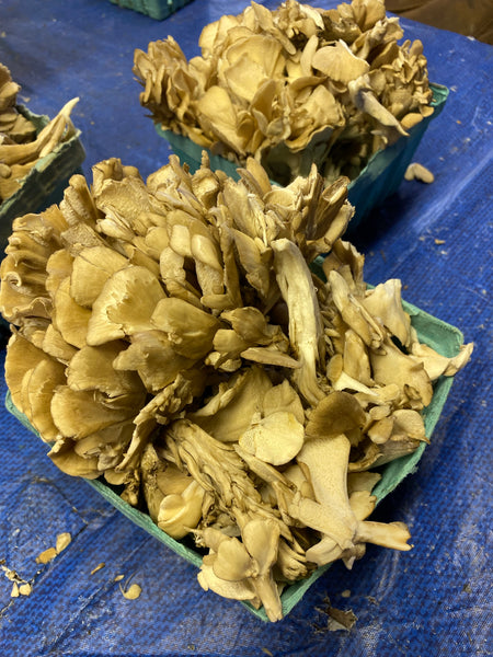 Henofthewoods 1 Lb Box