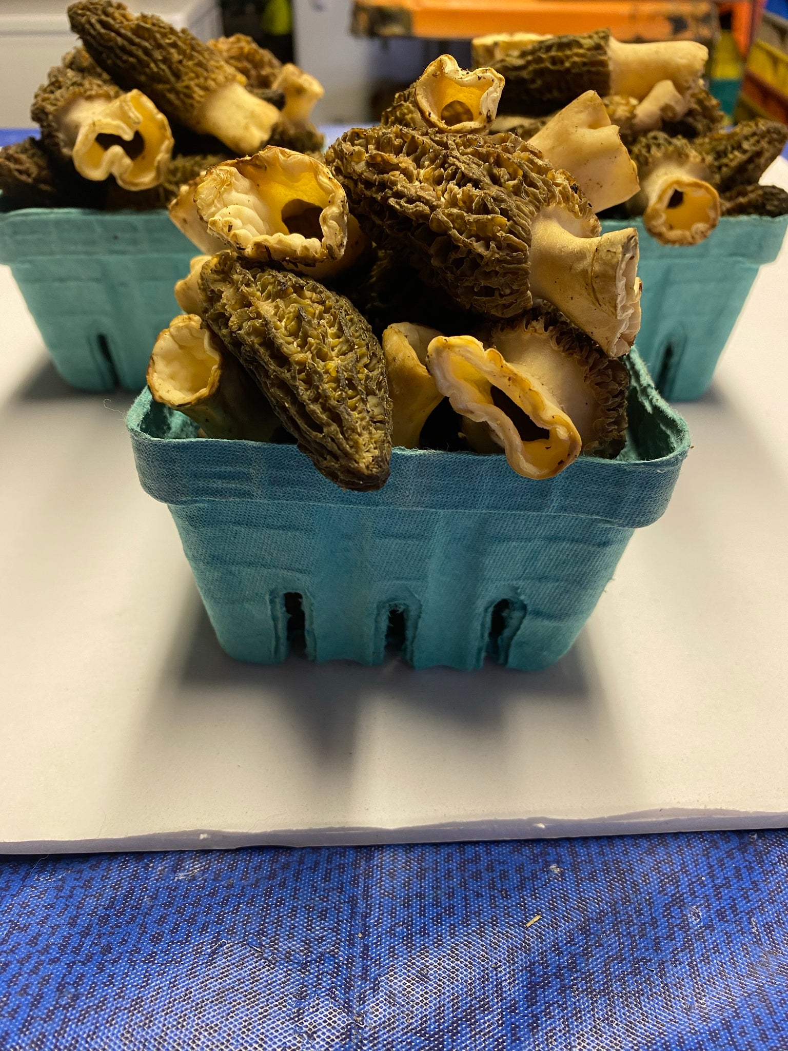 Frozen Morels Mushrooms 1 pint