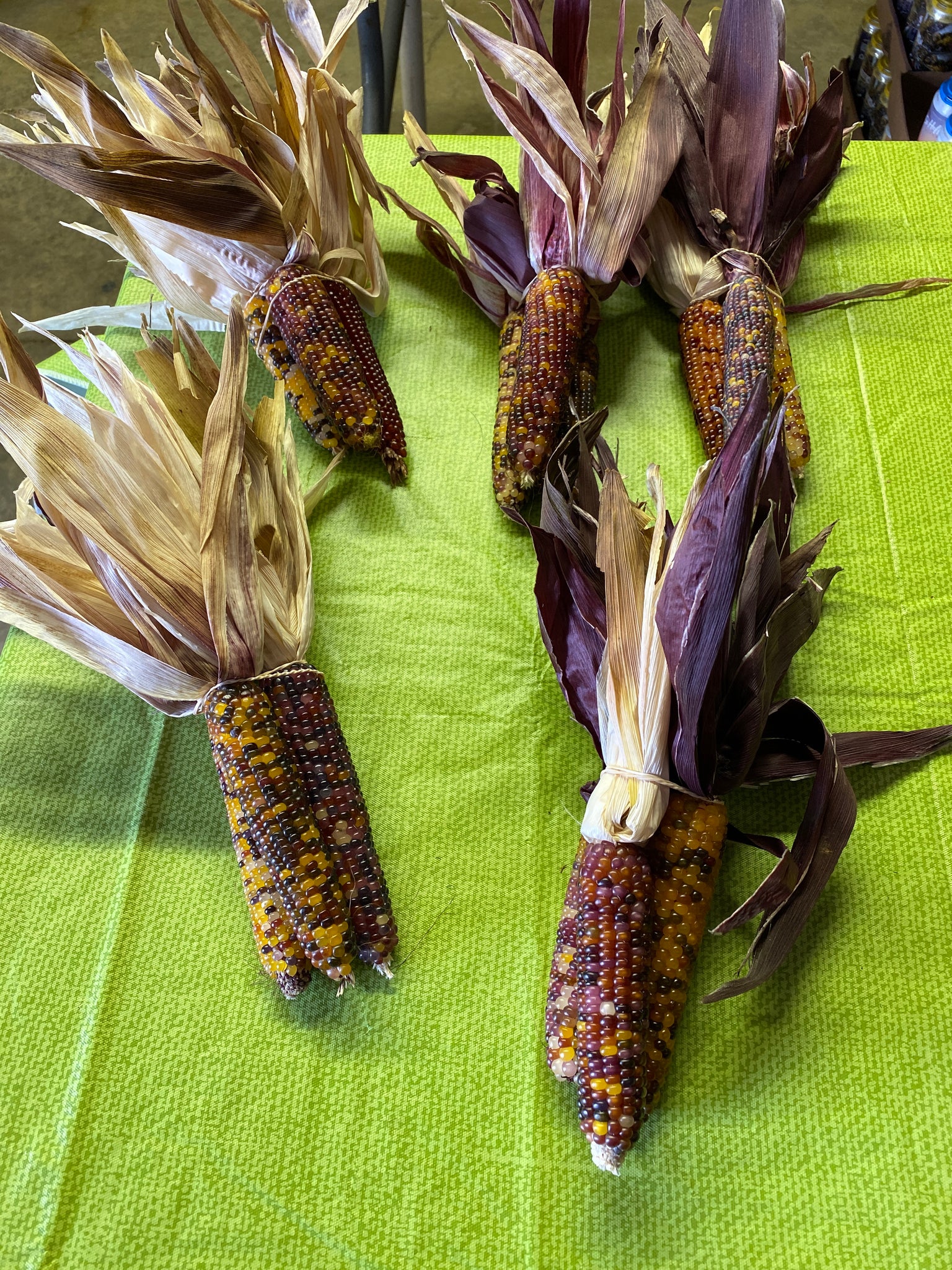 Mini Indian corn 1 bunch