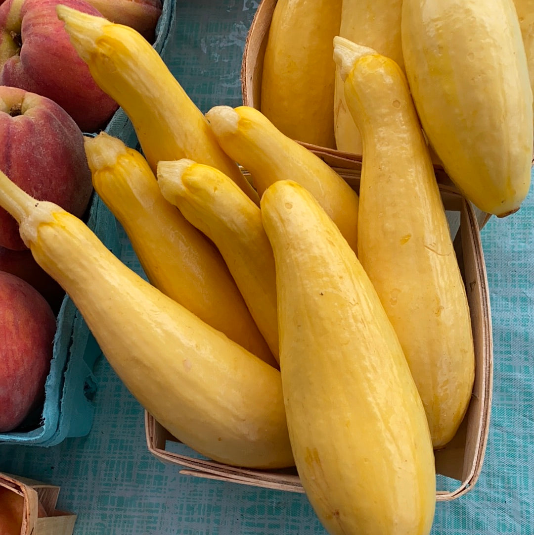 Yellow Summer Squash 1 quart