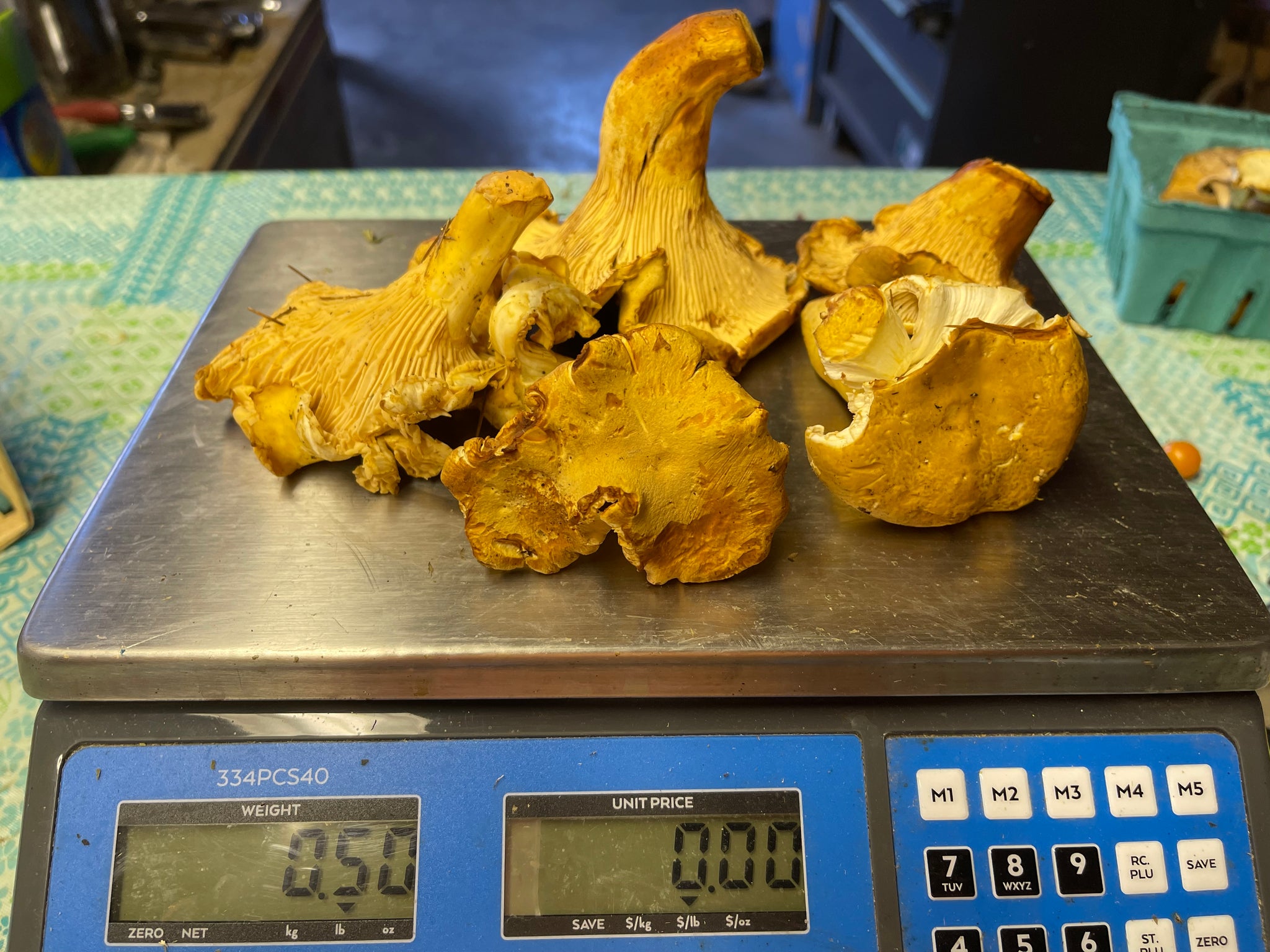 Chanterelle Mushrooms 1pint ( half Lb)