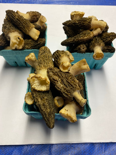 Frozen Morels Mushrooms 1 pint