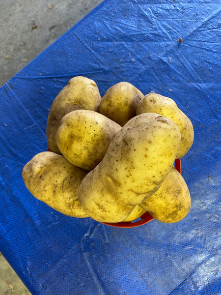 Potatoes 5lb bag