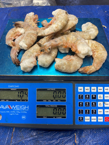 Jumbo Shrimp 1lb pack