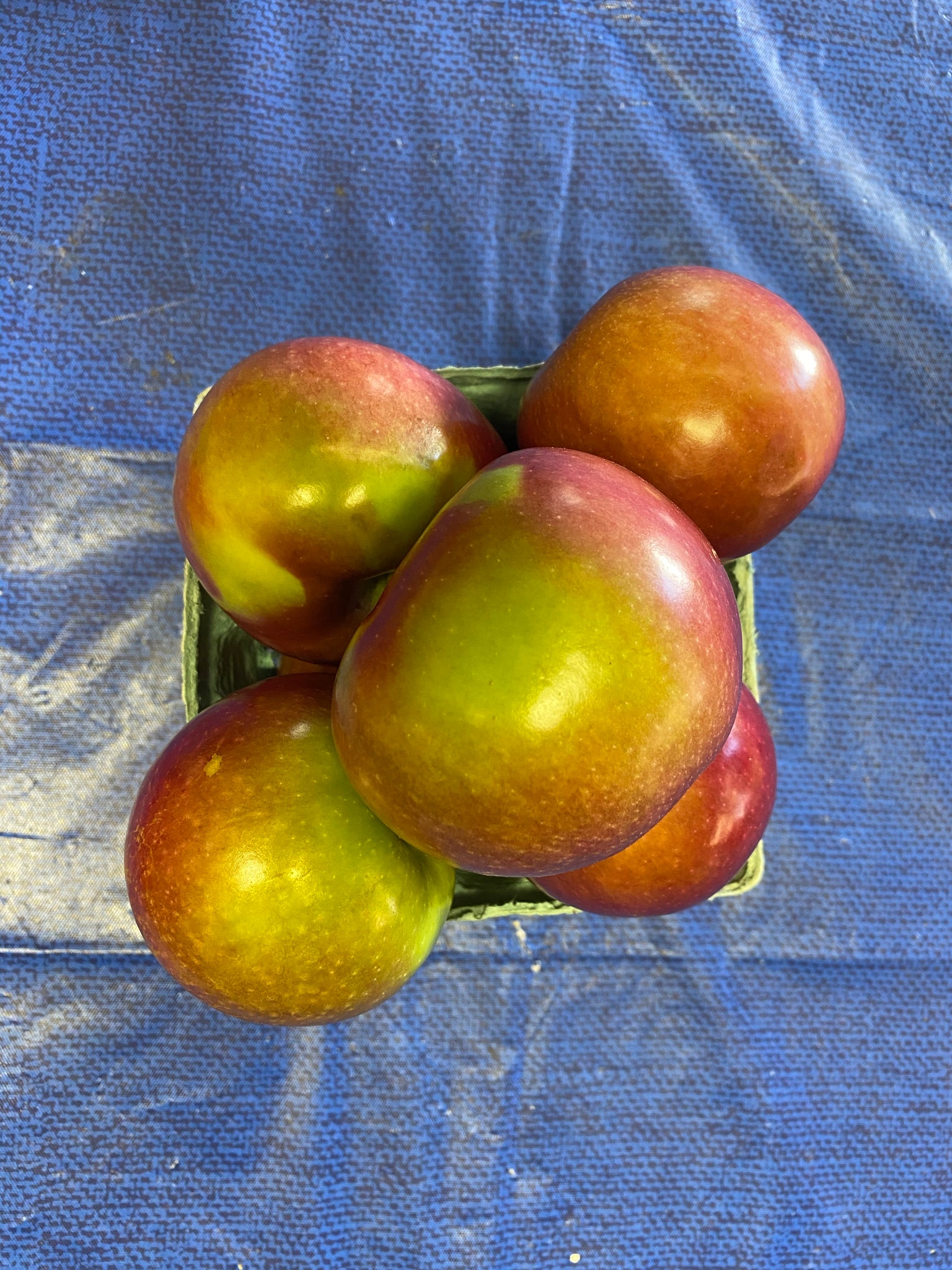 MacIntosh Apples 1 quart