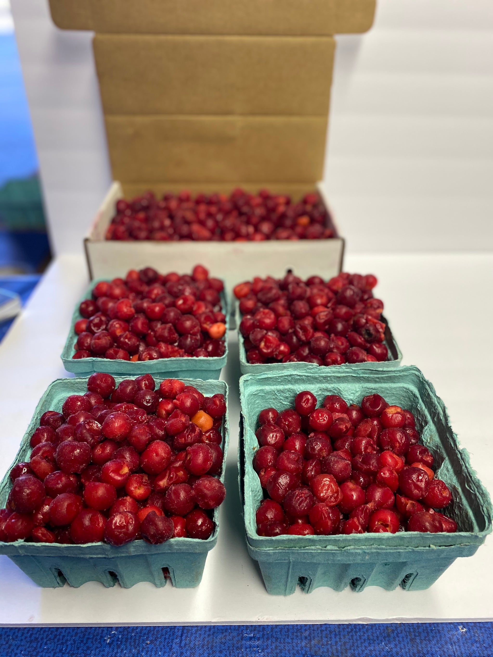 Frozen Tart Cherries 5lb box Lyons Fruit Farm and Market