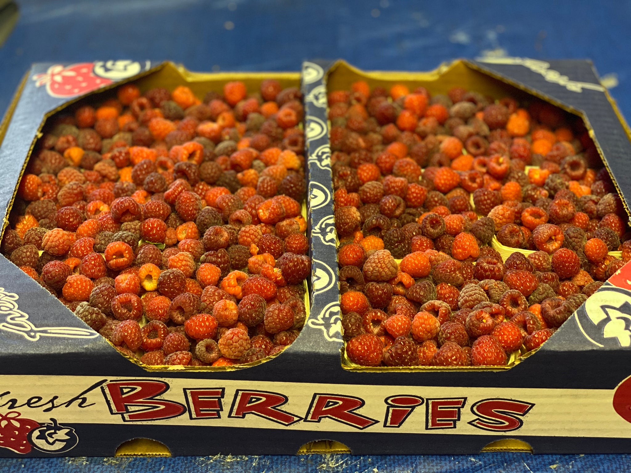 Red raspberries 12 pint flat