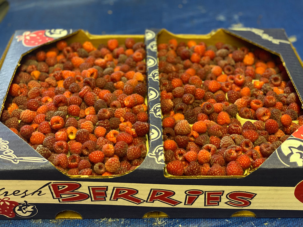 Red raspberries 12 pint flat – Lyons Fruit Farm and Market