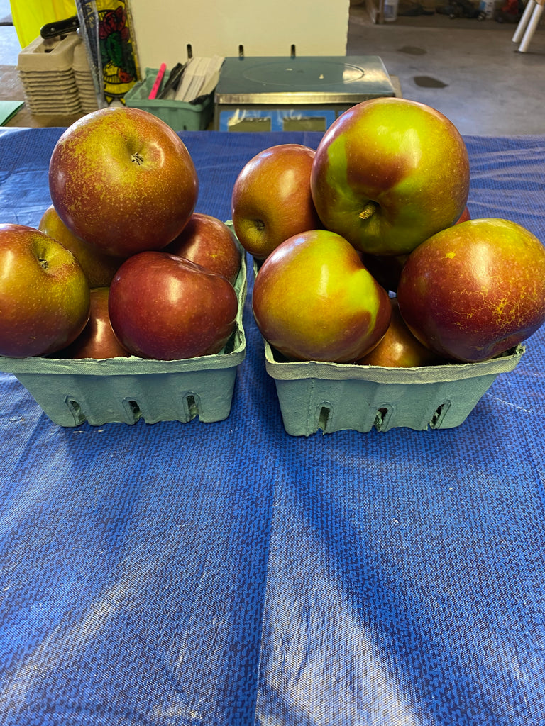 Kauffman Orchards Fresh Mcintosh Apples, Hand-Picked New-Crop Wax-Free  Heirloom Macintosh Apples (Box of 48)