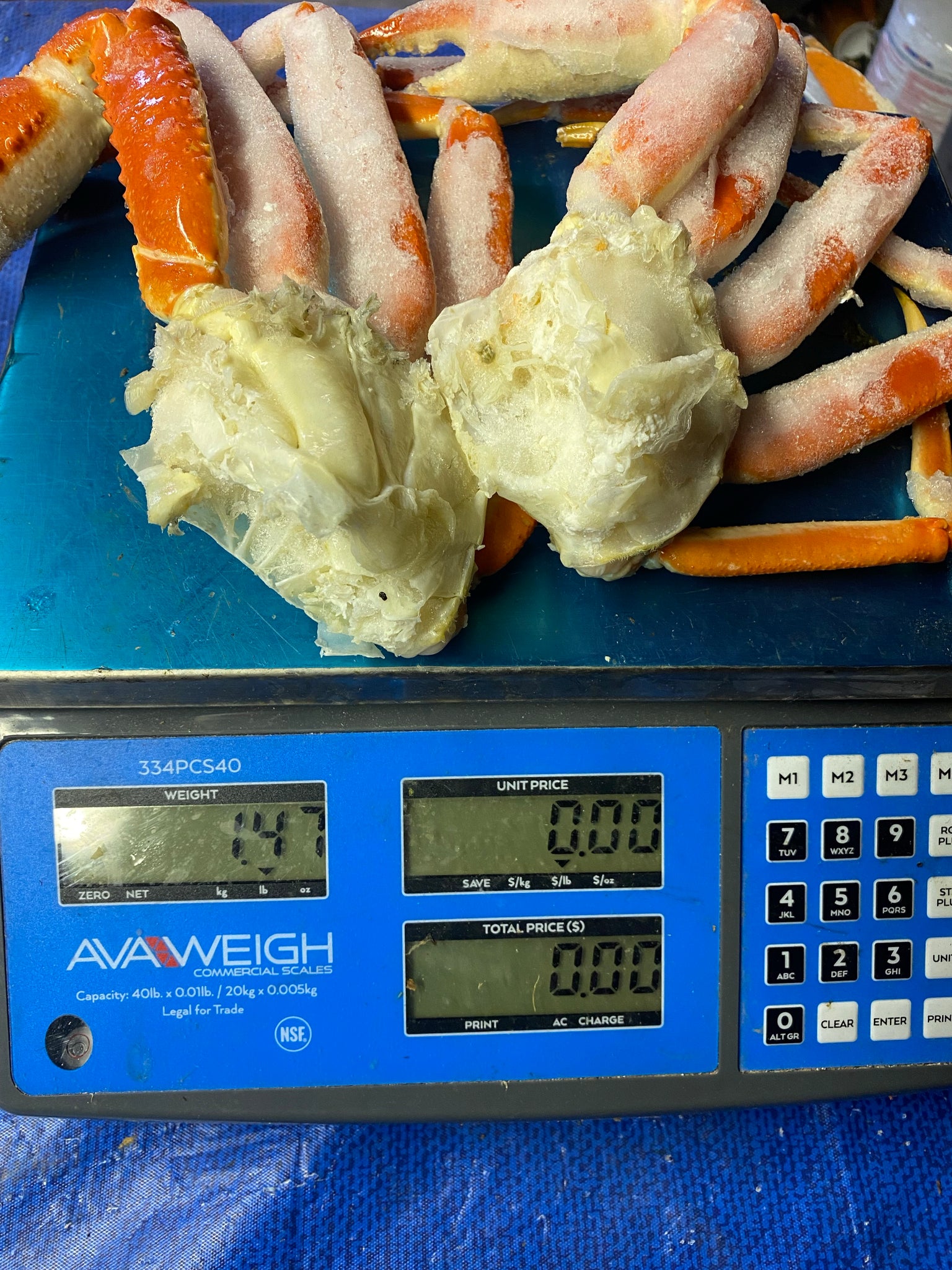Snow Crabs