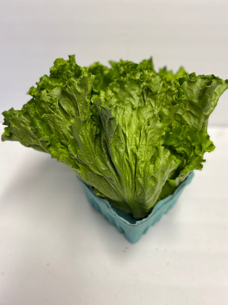 Green Leaf Lettuce 1 bunch