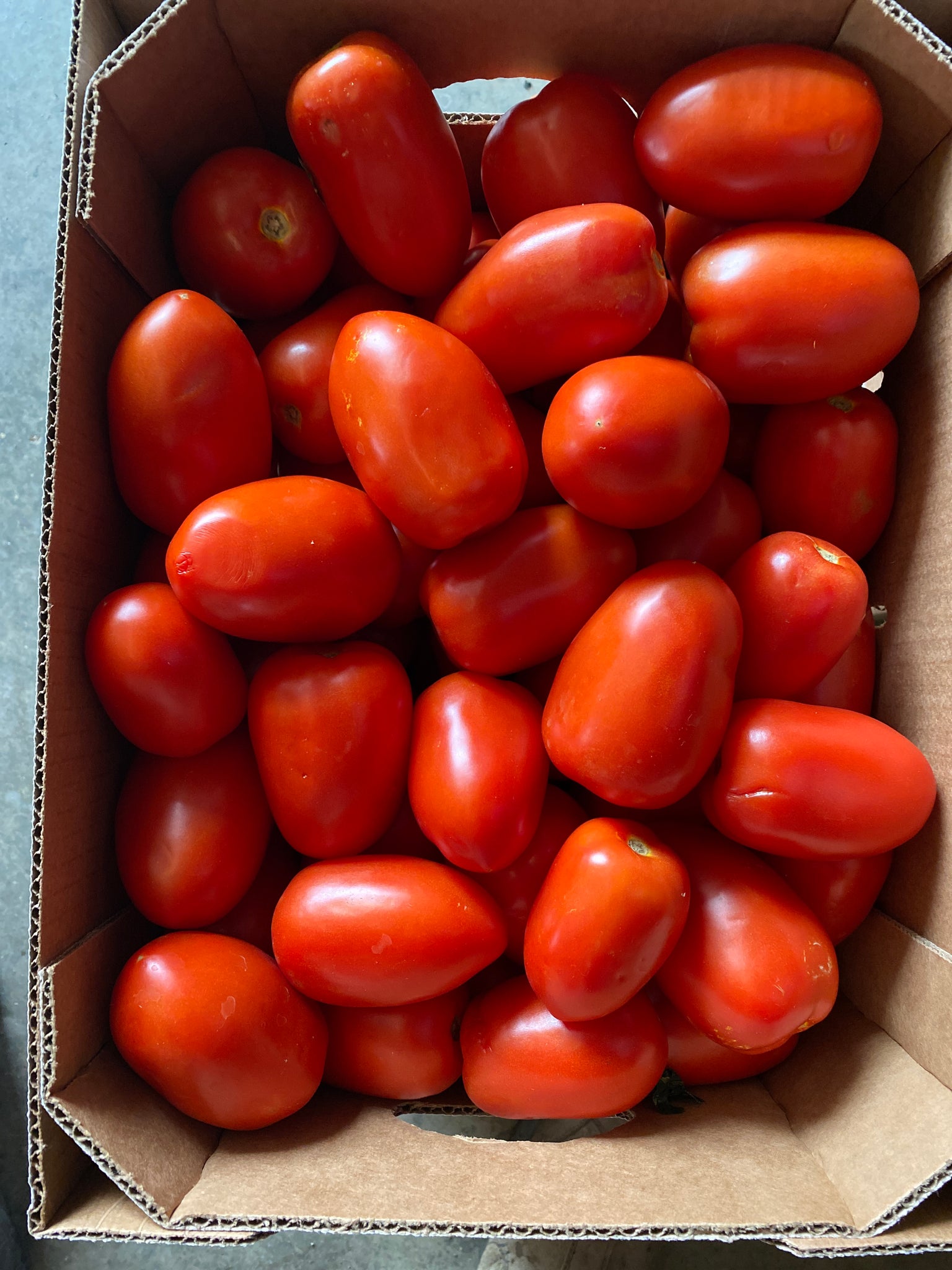 Roma  Tomatoes 25 lb box