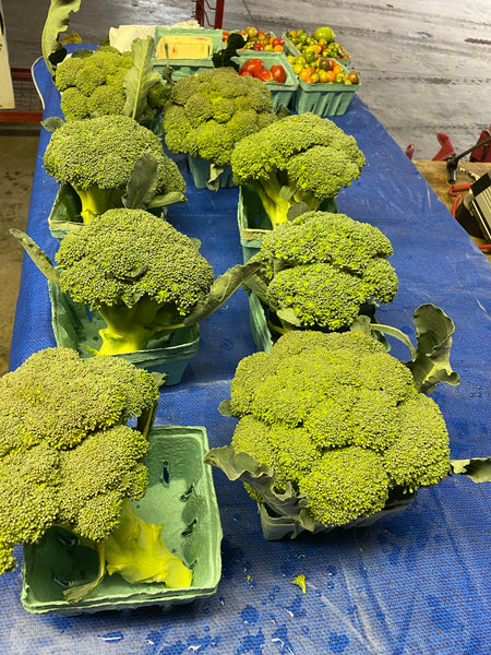 Broccoli. 1 bunch