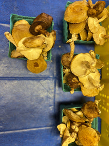 Shiitake Mushrooms 1 pint