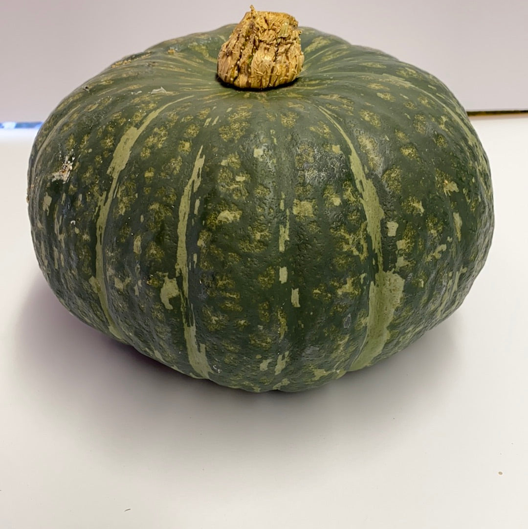 Buttercup Squash