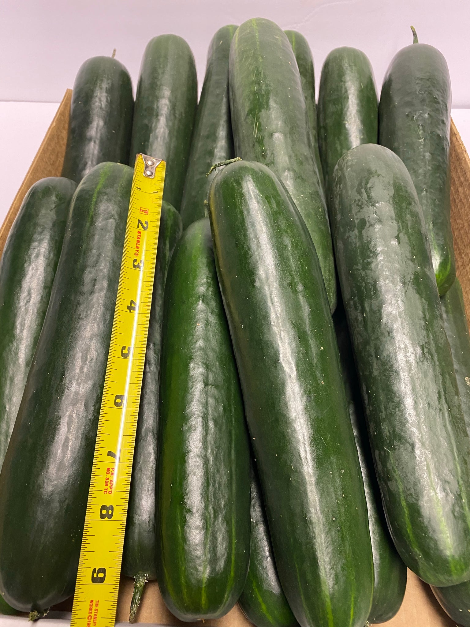 Cucumbers 1each