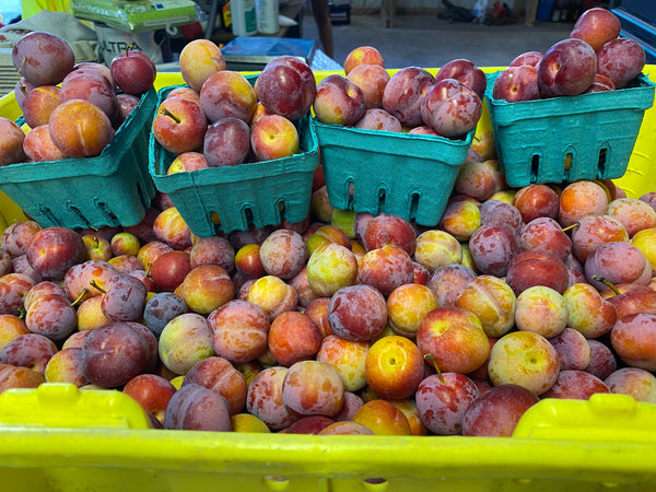Bubblegum Plums 1 pint