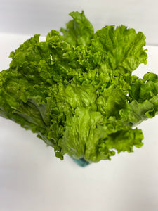 Green Leaf Lettuce 1 bunch