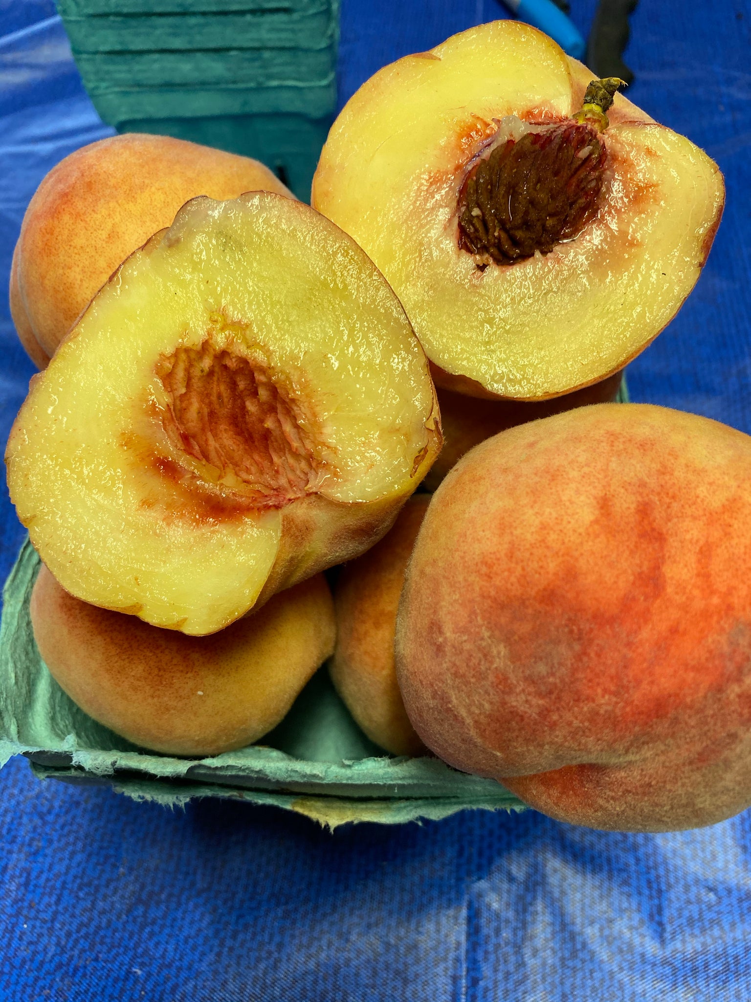 Blushingstar white flesh peach 1 quart
