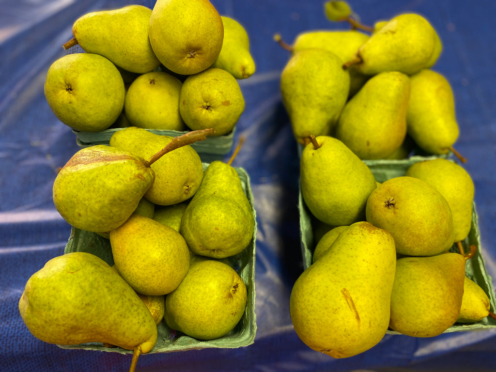 Bosc Pears 1 quart – Lyons Fruit Farm and Market